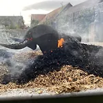 Kleiner Hof Vergissmeinnicht * Endingen am Kaiserstuhl