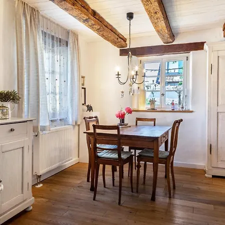 Kleiner Hof Vergissmeinnicht